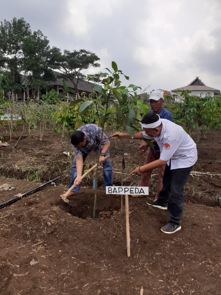 Gerakan Penanaman Pohon Dalam Rangka Mengantisipasi Musim Penghujan
