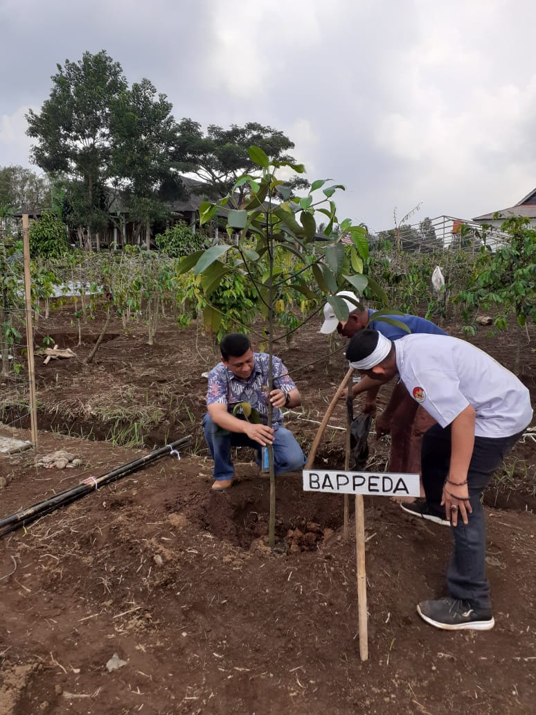 Partisipasi Kepala Bappelitbangda Dalam Gerakan Penanaman Pohon