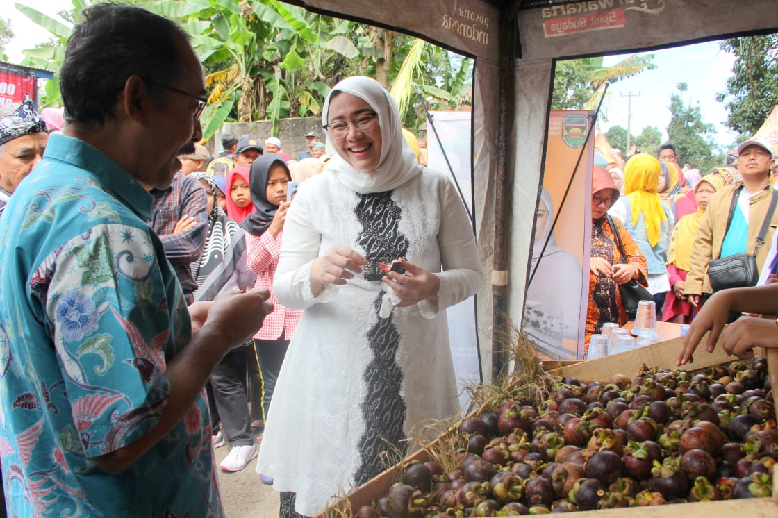 Eksportir Asia, Purwakarta Genjot Produktivitas Buah Manggis