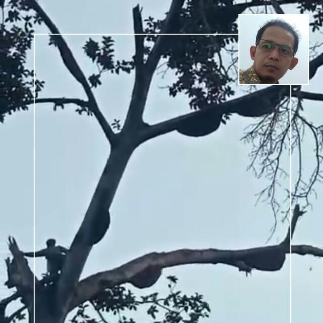 Erwin Zulkarnain, S.Hut, MP